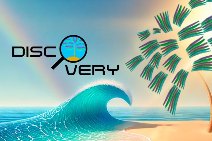 Back-web Discovery